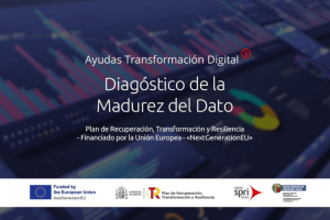 Diagnóstico de la Madurez del Dato